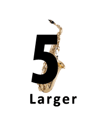 Large Ensemble