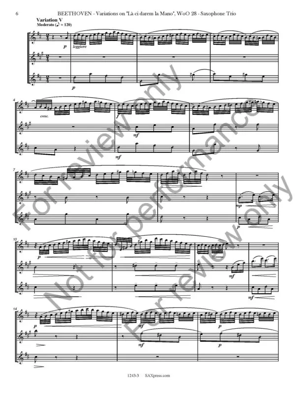 1234-3 BEETHOVEN - Variations on La ci darem la mano - SAMPLE_Page_10 Variations on La ci darem la Mano, WoO. 28