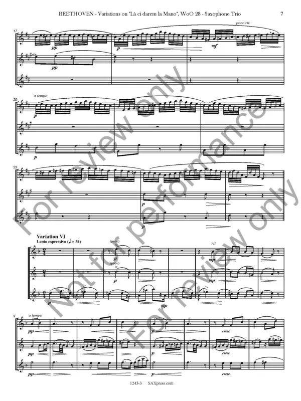 1234-3 BEETHOVEN - Variations on La ci darem la mano - SAMPLE_Page_11 Variations on La ci darem la Mano, WoO. 28
