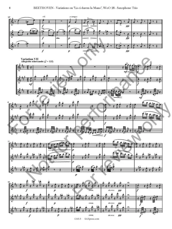 1234-3 BEETHOVEN - Variations on La ci darem la mano - SAMPLE_Page_12 Variations on La ci darem la Mano, WoO. 28