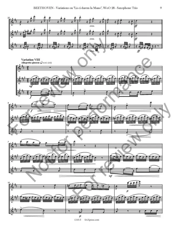 1234-3 BEETHOVEN - Variations on La ci darem la mano - SAMPLE_Page_13 Variations on La ci darem la Mano, WoO. 28