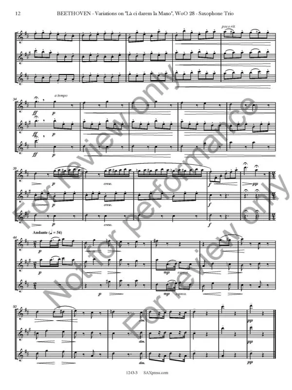 1234-3 BEETHOVEN - Variations on La ci darem la mano - SAMPLE_Page_16 Variations on La ci darem la Mano, WoO. 28