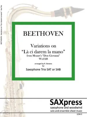 Variations on La ci darem la Mano, WoO. 28