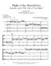SAMPLE 1338-4 RIMSKY KORSAKOV Flight of the Bumblebee SAX QUARTET -00- SCORE_Page_05 Flight of the Bumblebee | Sax Quartet
