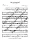 1392-2 - FIALA - Duo Concertante - sample -_Page_03 Duo Concertante in F