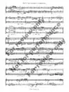 1392-2 - FIALA - Duo Concertante - sample -_Page_04 Duo Concertante in F