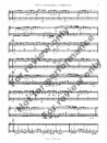 1392-2 - FIALA - Duo Concertante - sample -_Page_09 Duo Concertante in F