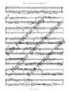 1392-2 - FIALA - Duo Concertante - sample -_Page_10 Duo Concertante in F