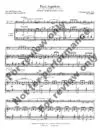 1154-1tbn-FRANCK-Panis Angelicus-TROMBONE or EUPHONIUM solo_Page_3 Panis Angelicus | Trombone or Euphonium Solo